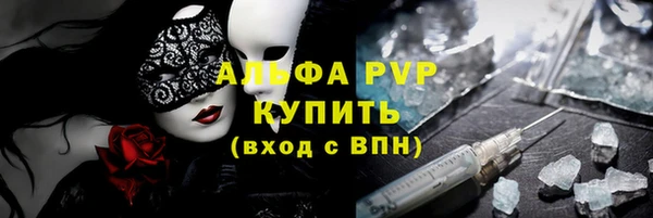 твердый Бородино