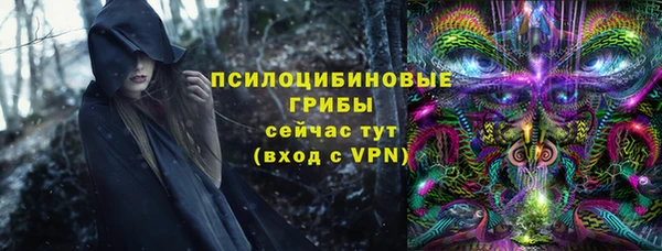 твердый Бородино