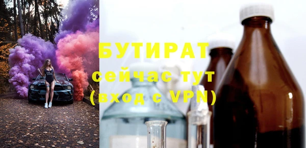 твердый Бородино