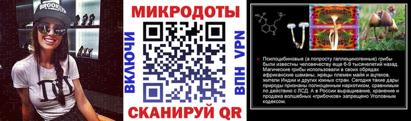 Купить закладки  Кяхта  Псилоцибиновые грибы мицелий 